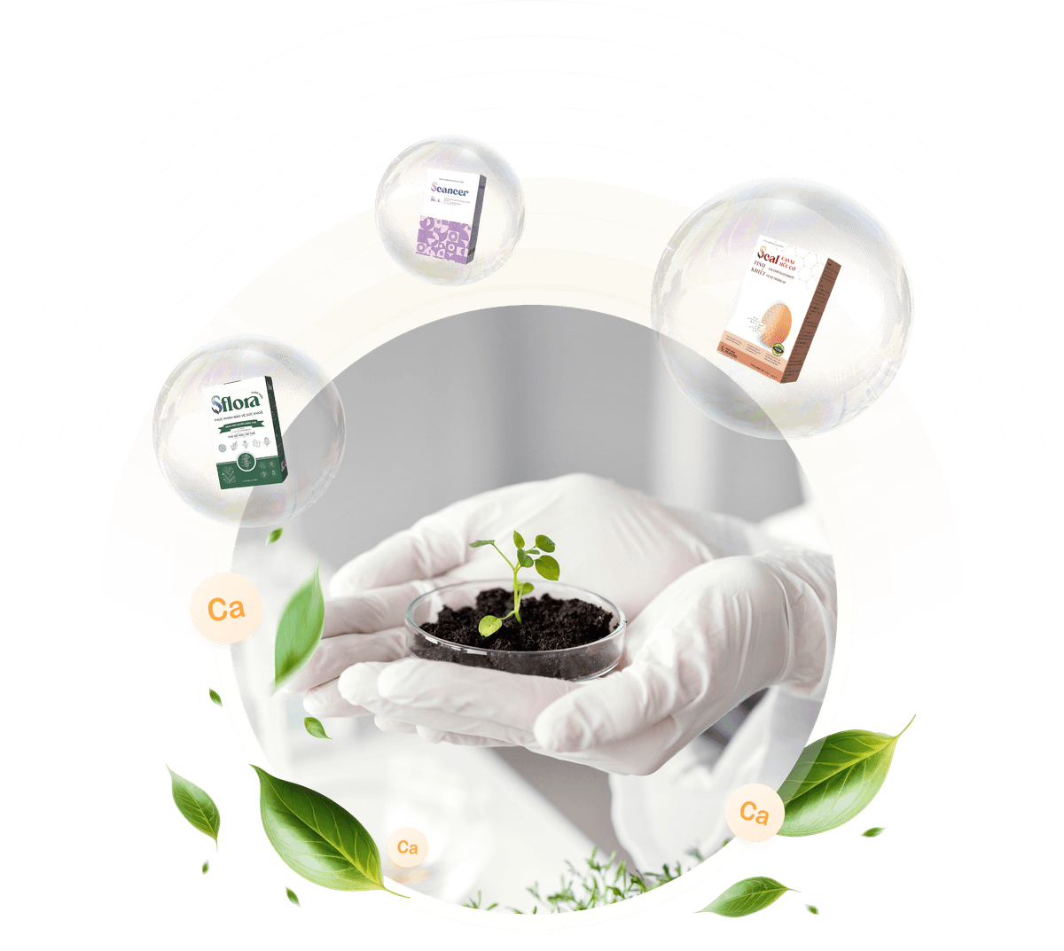 DDA Vietnam - About Us